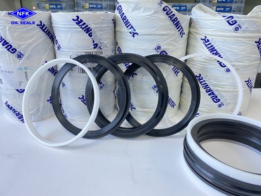 100% İtalya TPM mühürleri ve KDSAS Piston Silindir Kombine Yağ Mühürleri