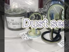 Silindir çubuğu Kauçuk toz mühürü DSI LBI LBH VAY DH Farklı Tipi Yüksek Sıcaklığa Dirençli